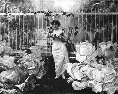 The cabbage fairy